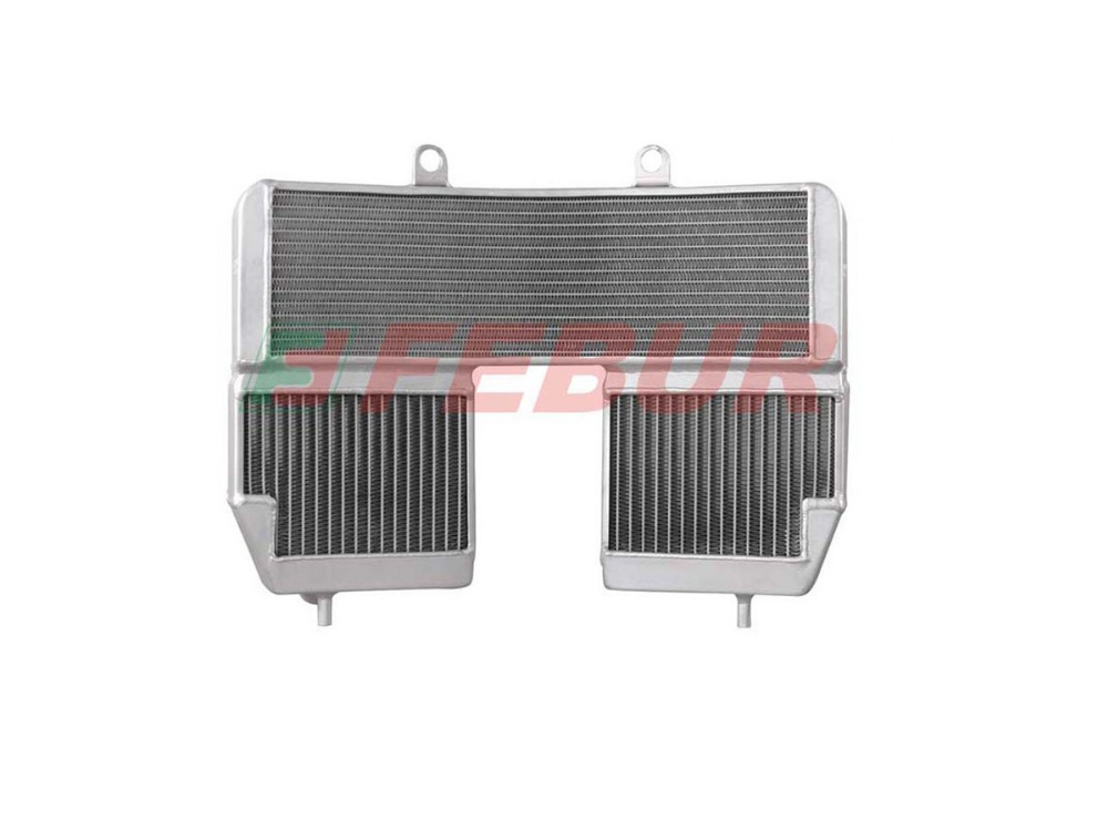 FEBUR FE282 Aprilia RSV 1000 (00/03) Complete Racing Water Radiator – Accessories in the 2WheelsHero Motorcycle Aftermarket Accessories and Parts Online Shop