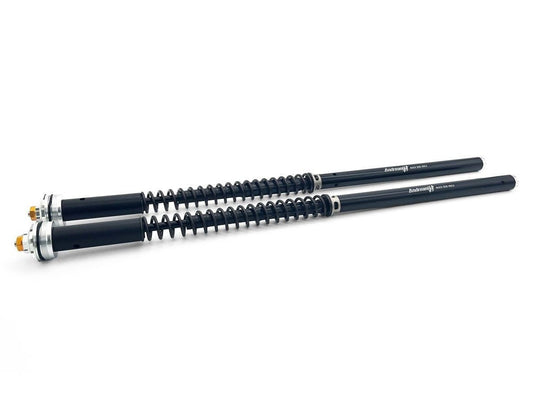 ANDREANI CFD105/A11E Aprilia RS 660 (2020+) Adjustable Hydraulic Fork Cartridge Kit – Accessories in the 2WheelsHero Motorcycle Aftermarket Accessories and Parts Online Shop