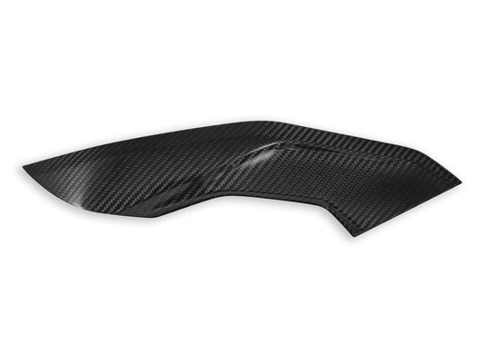 CRB139 - DBK BMW M1000R / S1000R (2021+) Carbon Side Panels (pair) – Accessories in the Motoraider Motorcycle Aftermarket Accessories and Parts Online Shop