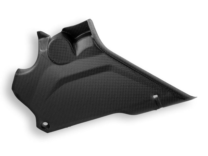 CRB66O - DBK Ducati DesertX 937 / Rally (2022+) Carbon Side Panels (Pair) – Accessories in the Motoraider Motorcycle Aftermarket Accessories and Parts Online Shop