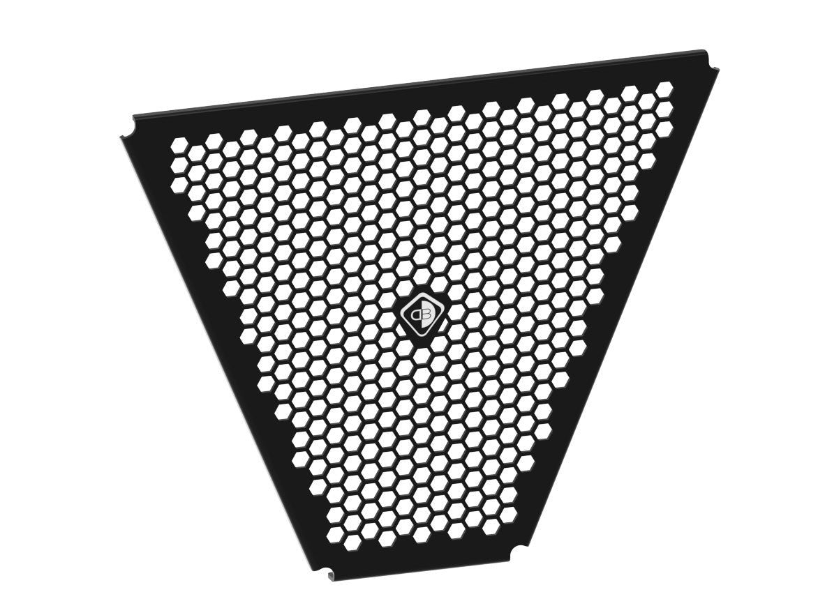 GR22 - DUCABIKE Ducati Panigale V4 / Streetfighter V4 Oil Radiator Guard – Accessories in the Motoraider Motorcycle Aftermarket Accessories and Parts Online Shop