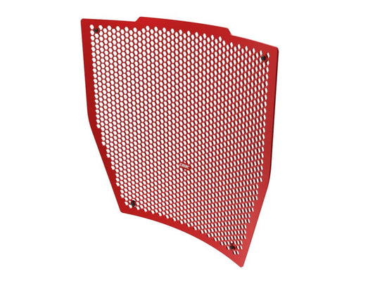 DBK DUCABIKE GR33 Ducati Streetfighter V4 / V4S (20/24) Radiator Guard – Accessories in the Motoraider Motorcycle Aftermarket Accessories and Parts Online Shop