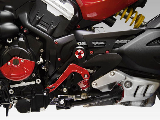 RPLC28 - DBK Ducati Diavel V4 (2023+) Shift Lever – Accessories in the Motoraider Motorcycle Aftermarket Accessories and Parts Online Shop