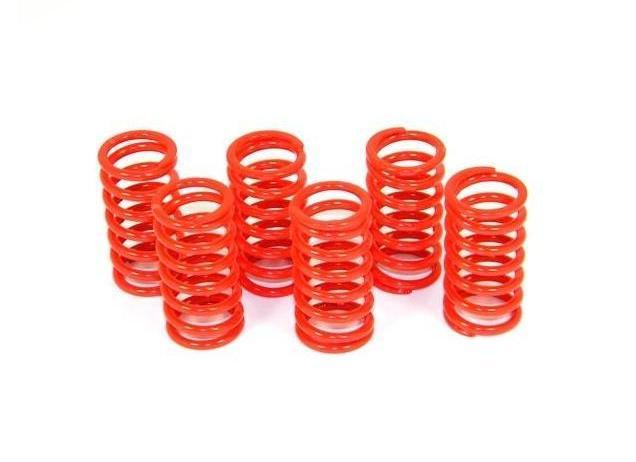 6M01 - DUCABIKE Ducati Dry Clutch Springs – Accessories in the Motoraider Motorcycle Aftermarket Accessories and Parts Online Shop