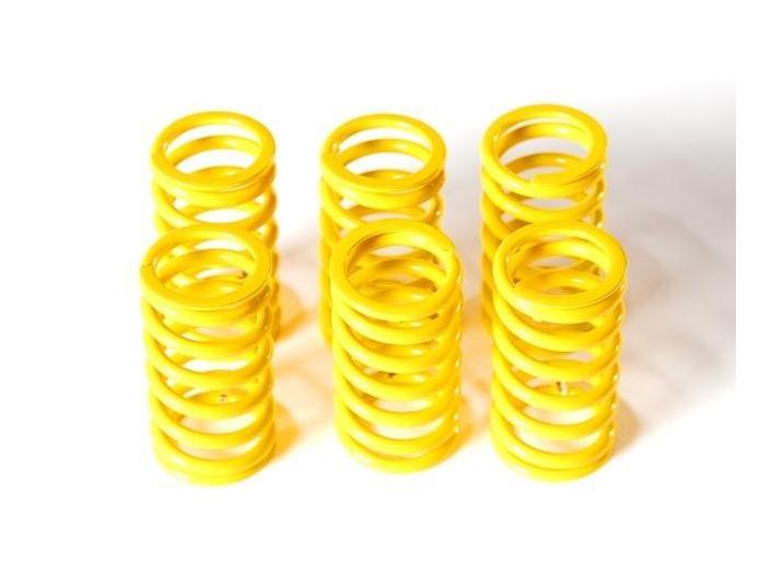 6M01 - DUCABIKE Ducati Dry Clutch Springs – Accessories in the Motoraider Motorcycle Aftermarket Accessories and Parts Online Shop