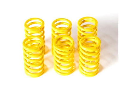 6M01 - DUCABIKE Ducati Dry Clutch Springs – Accessories in the Motoraider Motorcycle Aftermarket Accessories and Parts Online Shop
