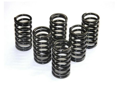 6M01 - DUCABIKE Ducati Dry Clutch Springs – Accessories in the Motoraider Motorcycle Aftermarket Accessories and Parts Online Shop