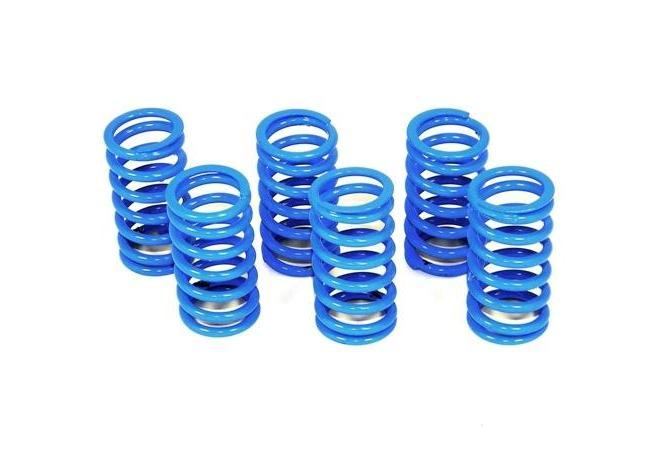 6M01 - DUCABIKE Ducati Dry Clutch Springs – Accessories in the Motoraider Motorcycle Aftermarket Accessories and Parts Online Shop