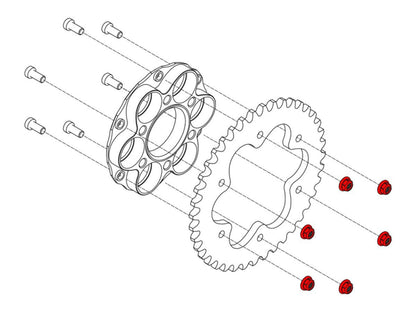 DA388 - CNC RACING Ducati Gear Ring Nuts (M8x1.25) – Accessories in the Motoraider Motorcycle Aftermarket Accessories and Parts Online Shop