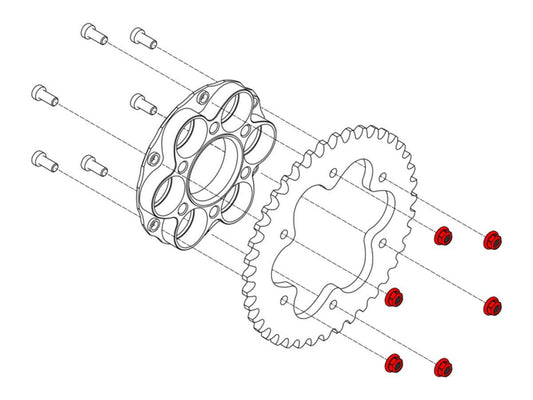 DA388 - CNC RACING Ducati Gear Ring Nuts (M8x1.25) – Accessories in the Motoraider Motorcycle Aftermarket Accessories and Parts Online Shop