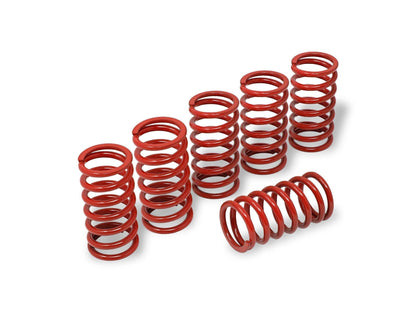 MO245 - CNC RACING MV Agusta Clutch Springs (Ø 40.5) – Accessories in the Motoraider Motorcycle Aftermarket Accessories and Parts Online Shop
