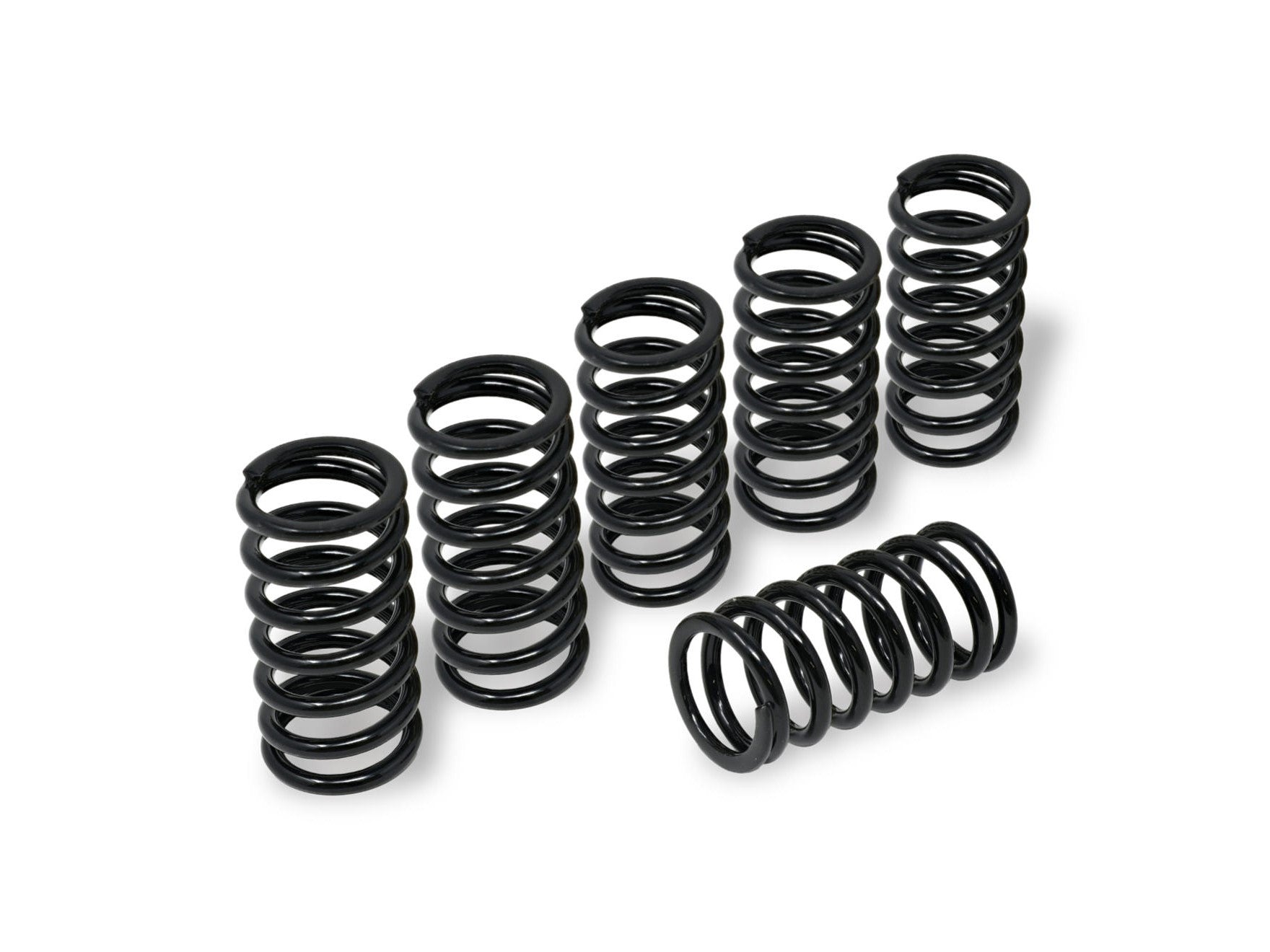 MO345 - CNC RACING BMW S1000RR (09/18) Clutch Springs (Ø 45) – Accessories in the Motoraider Motorcycle Aftermarket Accessories and Parts Online Shop