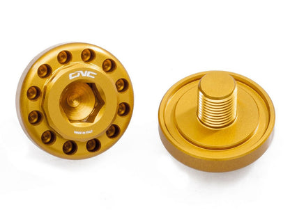 PEV03 - CNC RACING Ducati Hypermotard 796/1100/1100 Evo OEM Rearset Central Bolts – Accessories in the Motoraider Motorcycle Aftermarket Accessories and Parts Online Shop