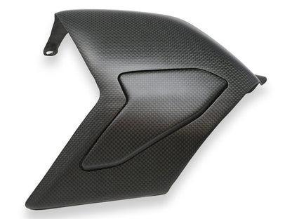 ZA864 - CNC RACING Ducati Panigale V4 (18/24) Carbon Swingarm Cover – Accessories in the Motoraider Motorcycle Aftermarket Accessories and Parts Online Shop