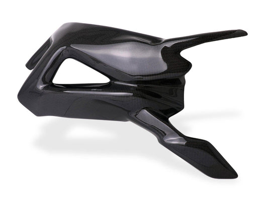 ZA885 - CNC RACING MV Agusta Brutale / Dragster (2012+) Carbon Swingarm Protector – Accessories in the Motoraider Motorcycle Aftermarket Accessories and Parts Online Shop