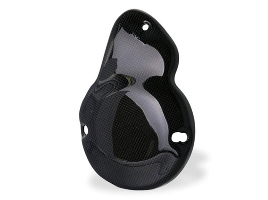 ZA886 - CNC RACING MV Agusta Carbon Generator Cover – Accessories in the Motoraider Motorcycle Aftermarket Accessories and Parts Online Shop