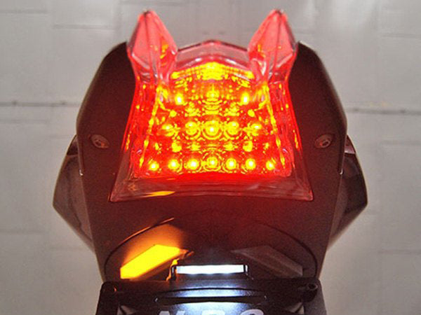 NEW RAGE CYCLES BMW S1000RR (09/18) LED Tail Tidy Fender Eliminator – Accessories in the 2WheelsHero Motorcycle Aftermarket Accessories and Parts Online Shop