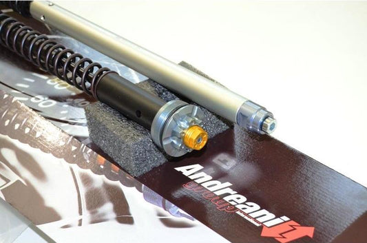 CFD105/D05 - ANDREANI Ducati Monster 696 Adjustable Hydraulic Fork Cartridge kit (for Marzocchi fork) – Accessories in the 2WheelsHero Motorcycle Aftermarket Accessories and Parts Online Shop