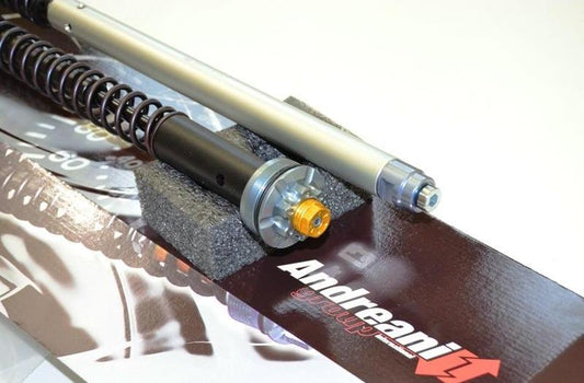ANDREANI CFD305/D16E Ducati Scrambler 800 (15/19) Adjustable Hydraulic Fork Cartridge kit – Accessories in the 2WheelsHero Motorcycle Aftermarket Accessories and Parts Online Shop