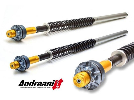 CFD105/D07 - ANDREANI Ducati GT 1000 Adjustable Hydraulic Fork Cartridge kit – Accessories in the 2WheelsHero Motorcycle Aftermarket Accessories and Parts Online Shop