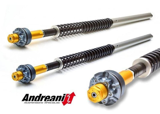 CFD105/D03 - ANDREANI Ducati Monster 696 Adjustable Hydraulic Fork Cartridge kit (for Showa fork) – Accessories in the 2WheelsHero Motorcycle Aftermarket Accessories and Parts Online Shop