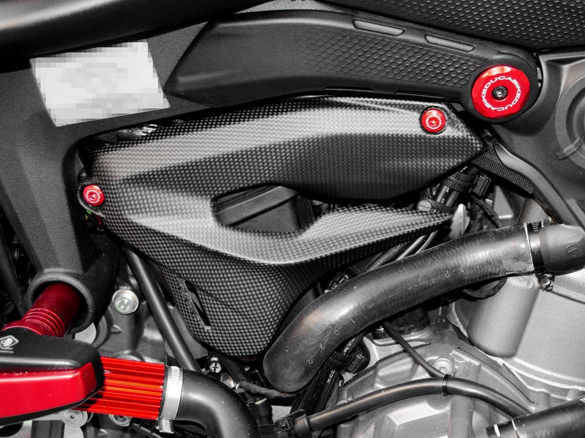 CRB03 - DUCABIKE Ducati Monster 950 (2021+) Carbon Fairing Side Covers – Accessories in the Motoraider Motorcycle Aftermarket Accessories and Parts Online Shop