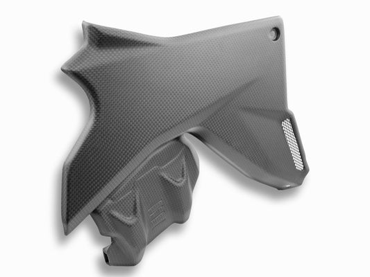 CRB09 - DUCABIKE Ducati Multistrada V4 (2021+) Carbon Fairing Side Covers – Accessories in the Motoraider Motorcycle Aftermarket Accessories and Parts Online Shop