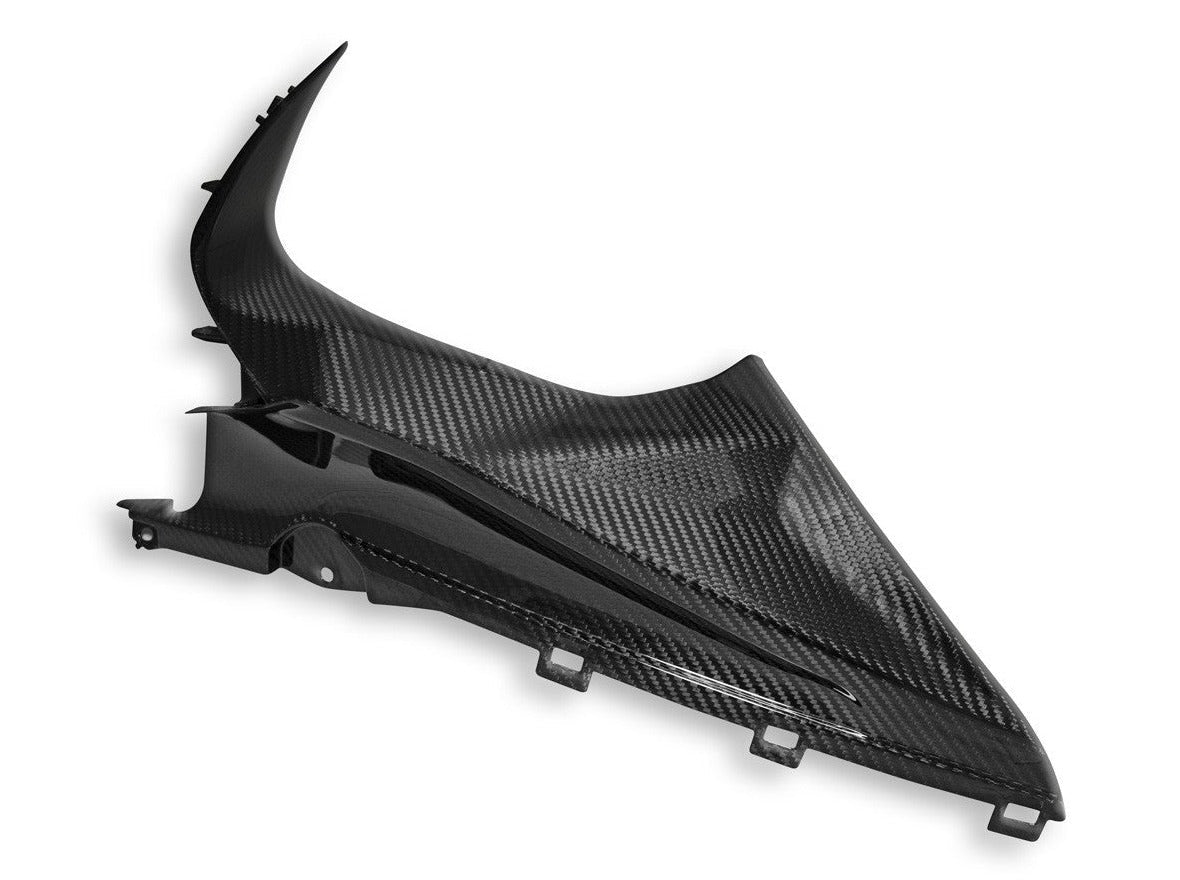 CRB113 - DBK BMW S1000RR (2019+) Carbon Infil Panels – Accessories in the Motoraider Motorcycle Aftermarket Accessories and Parts Online Shop