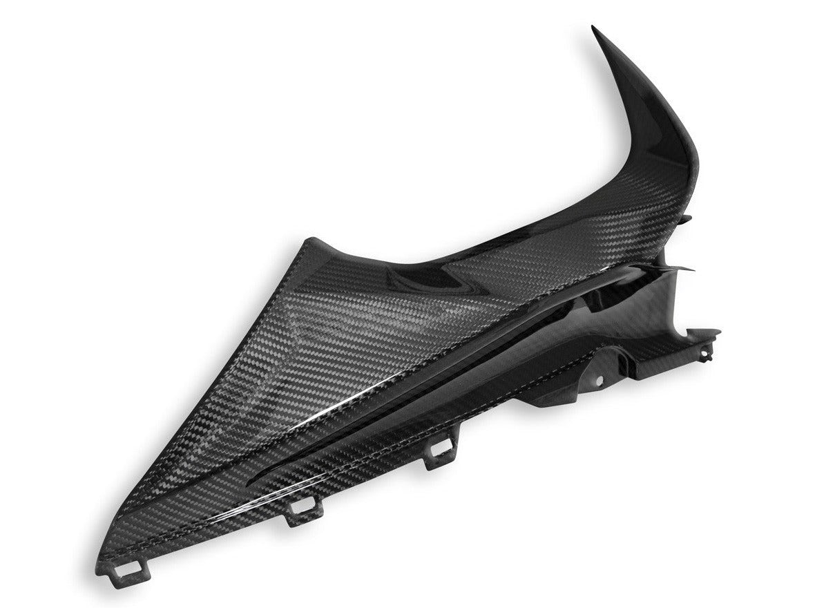 CRB113 - DBK BMW S1000RR (2019+) Carbon Infil Panels – Accessories in the Motoraider Motorcycle Aftermarket Accessories and Parts Online Shop