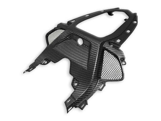 CRB118 - DBK BMW M1000RR / S1000RR Carbon Passenger Seat Support – Accessories in the Motoraider Motorcycle Aftermarket Accessories and Parts Online Shop