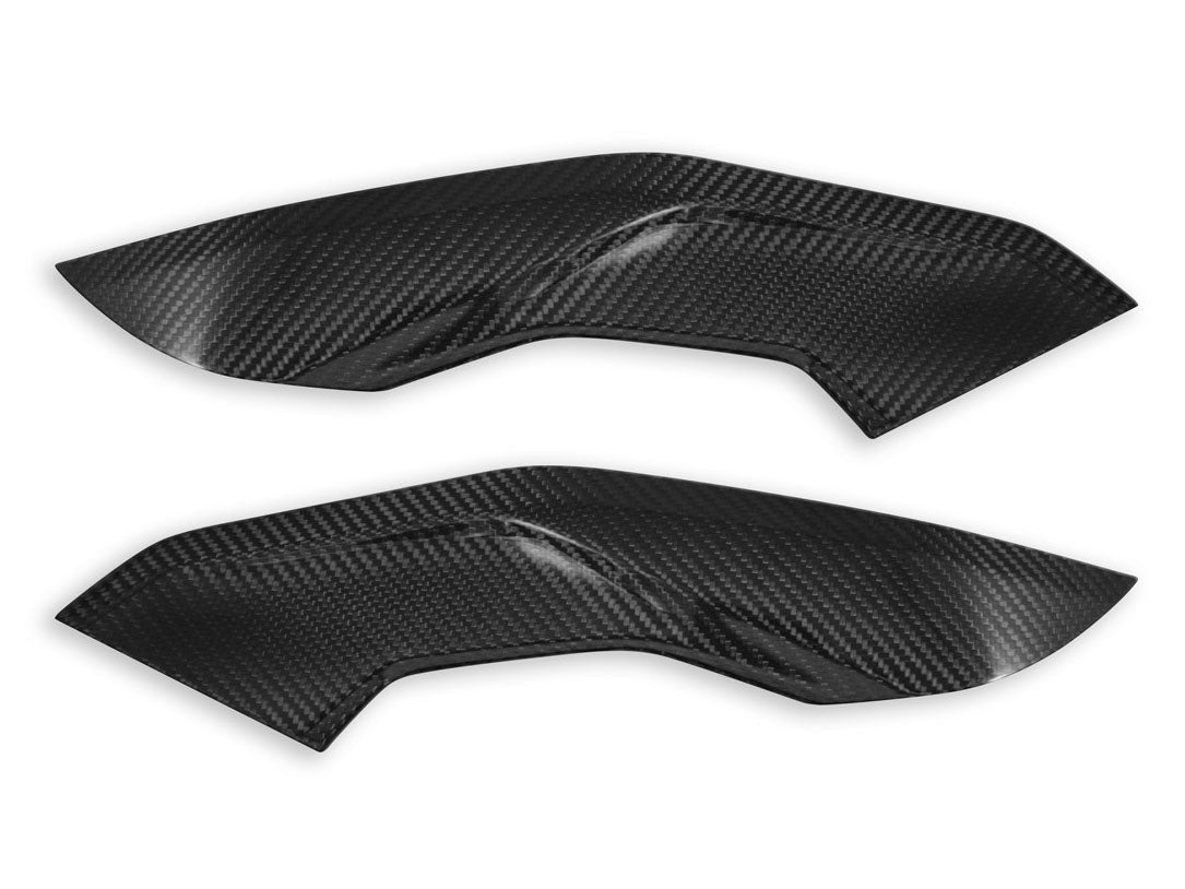CRB139 - DBK BMW M1000R / S1000R (2021+) Carbon Side Panels (pair) – Accessories in the Motoraider Motorcycle Aftermarket Accessories and Parts Online Shop