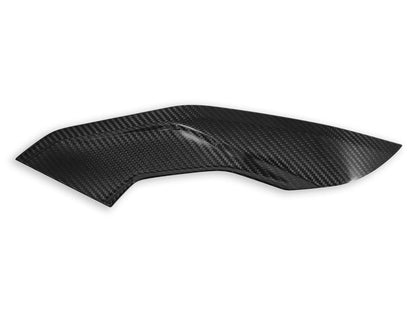 CRB139 - DBK BMW M1000R / S1000R (2021+) Carbon Side Panels (pair) – Accessories in the Motoraider Motorcycle Aftermarket Accessories and Parts Online Shop