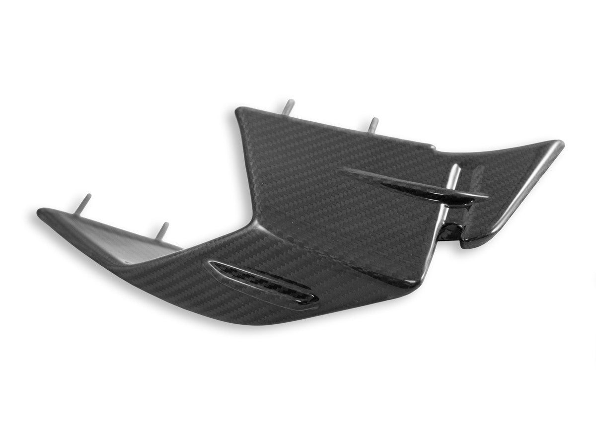 CRB142 - DBK BMW S1000RR (2023+) Carbon Winglets (pair) – Accessories in the Motoraider Motorcycle Aftermarket Accessories and Parts Online Shop