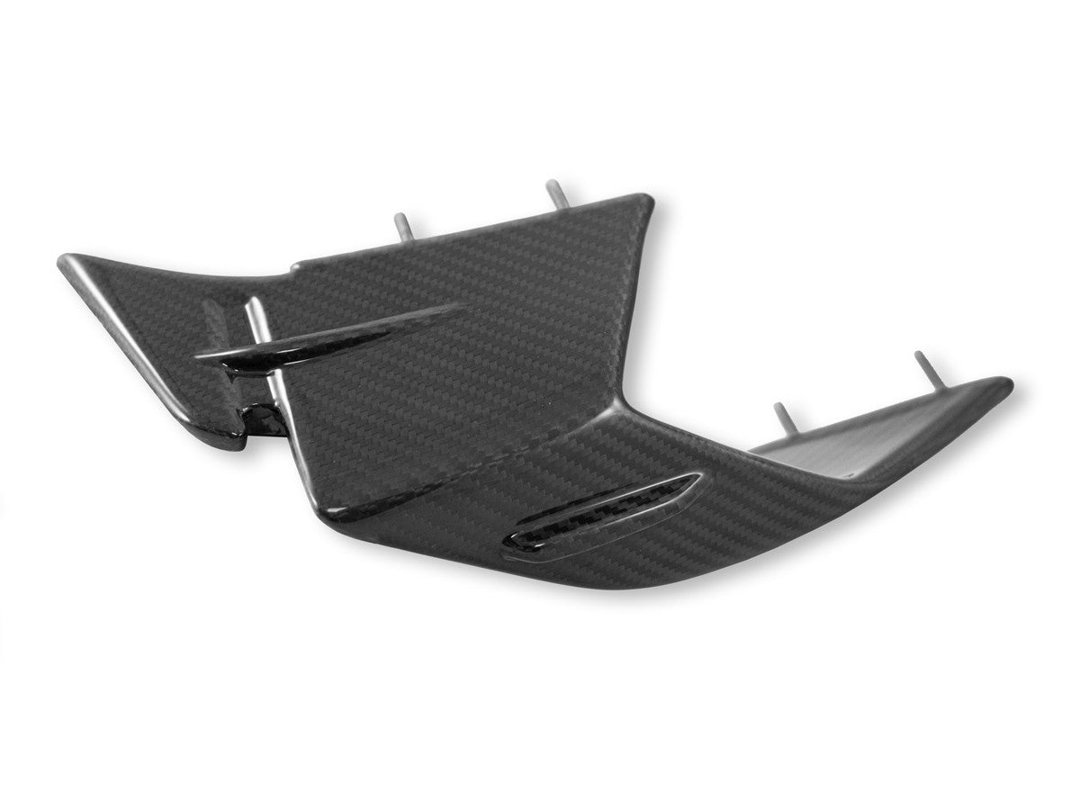 CRB142 - DBK BMW S1000RR (2023+) Carbon Winglets (pair) – Accessories in the Motoraider Motorcycle Aftermarket Accessories and Parts Online Shop