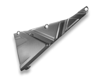 CRB146 - DBK Ducati Multistrada V4 RS (2024+) Carbon Frame Cover – Accessories in the Motoraider Motorcycle Aftermarket Accessories and Parts Online Shop