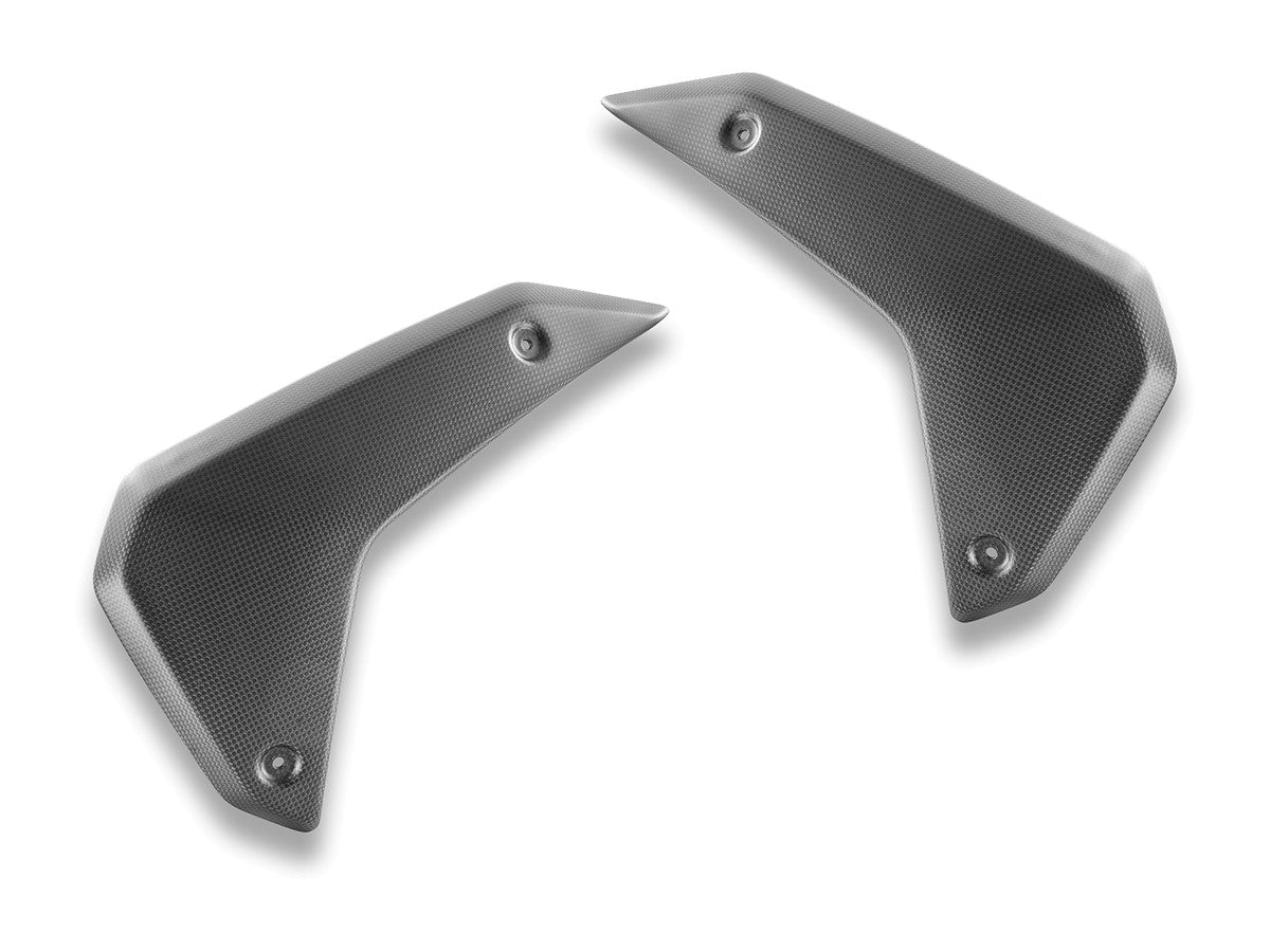 CRB180 - DBK BMW R1300GS (2024+) Carbon Side Panels – Accessories in the Motoraider Motorcycle Aftermarket Accessories and Parts Online Shop