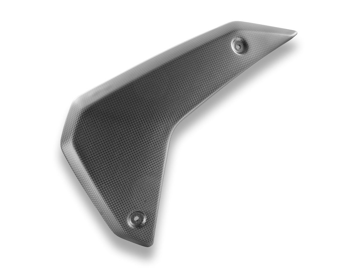CRB180 - DBK BMW R1300GS (2024+) Carbon Side Panels – Accessories in the Motoraider Motorcycle Aftermarket Accessories and Parts Online Shop