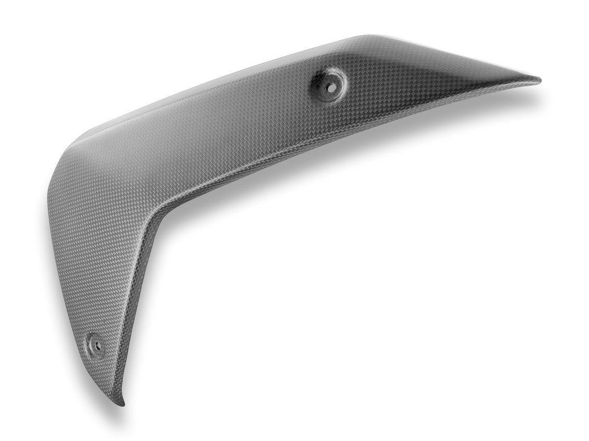 CRB180 - DBK BMW R1300GS (2024+) Carbon Side Panels – Accessories in the Motoraider Motorcycle Aftermarket Accessories and Parts Online Shop
