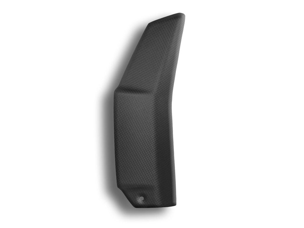 CRB37O - DBK Ducati Streetfighter V4 / V4S / V4 SP (2020+) Carbon High Side Panels (Pair) – Accessories in the Motoraider Motorcycle Aftermarket Accessories and Parts Online Shop