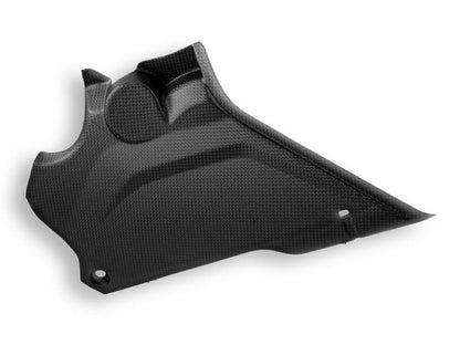 CRB66O - DBK Ducati DesertX 937 / Rally (2022+) Carbon Side Panels (Pair) – Accessories in the Motoraider Motorcycle Aftermarket Accessories and Parts Online Shop