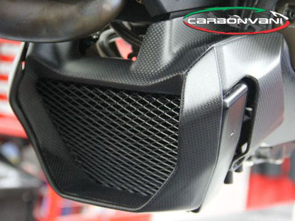 CARBONVANI Ducati Monster 821 (14/17) Carbon Oil Cooler Tip (type A) – Accessories in the 2WheelsHero Motorcycle Aftermarket Accessories and Parts Online Shop