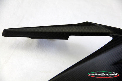 CARBONVANI Ducati Streetfighter V4 (2020+) Carbon Rear Fender – Accessories in the 2WheelsHero Motorcycle Aftermarket Accessories and Parts Online Shop