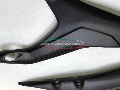 CARBONVANI Ducati Panigale V4 (2018+) Complete Carbon Rear Frame Covers – Accessories in the 2WheelsHero Motorcycle Aftermarket Accessories and Parts Online Shop