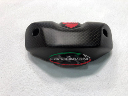 CARBONVANI Ducati Streetfighter V4 (2020+) Carbon Instrument Cover – Accessories in the 2WheelsHero Motorcycle Aftermarket Accessories and Parts Online Shop