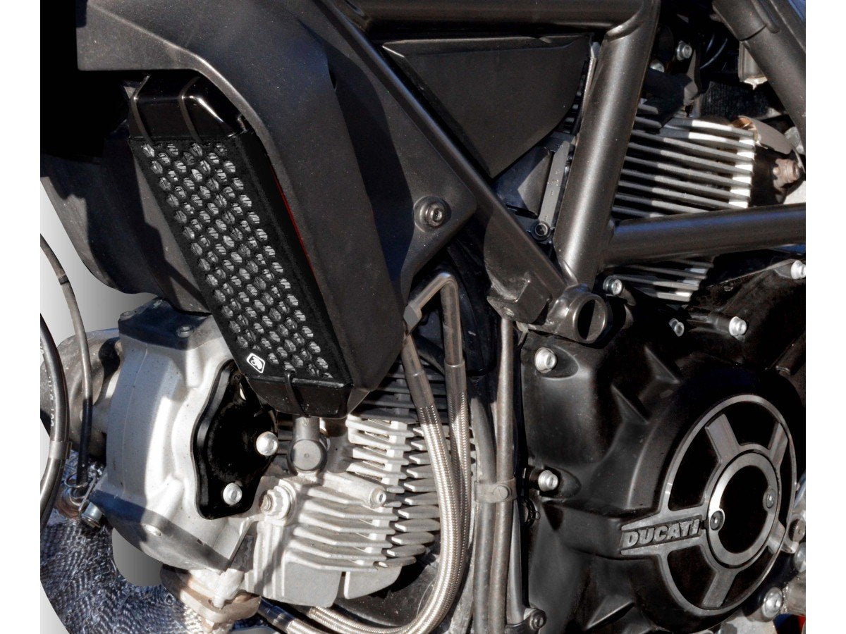 GR03 - DUCABIKE Ducati Scrambler 800 (15/22) Radiator Guard – Accessories in the Motoraider Motorcycle Aftermarket Accessories and Parts Online Shop