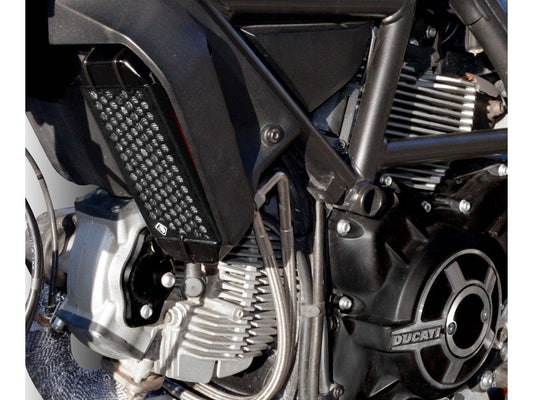 GR03 - DUCABIKE Ducati Scrambler 800 (15/22) Radiator Guard – Accessories in the Motoraider Motorcycle Aftermarket Accessories and Parts Online Shop