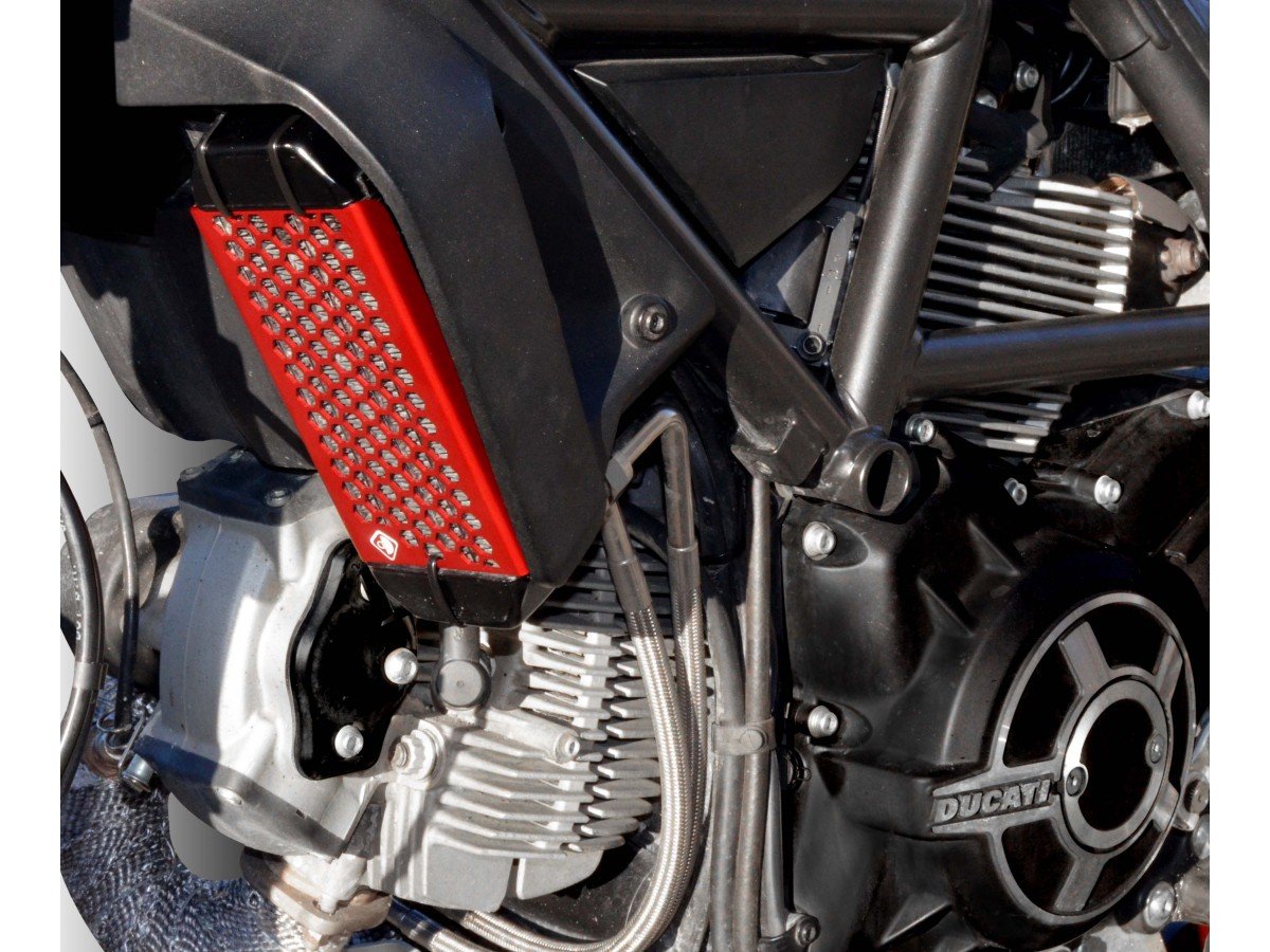 GR03 - DUCABIKE Ducati Scrambler 800 (15/22) Radiator Guard – Accessories in the Motoraider Motorcycle Aftermarket Accessories and Parts Online Shop