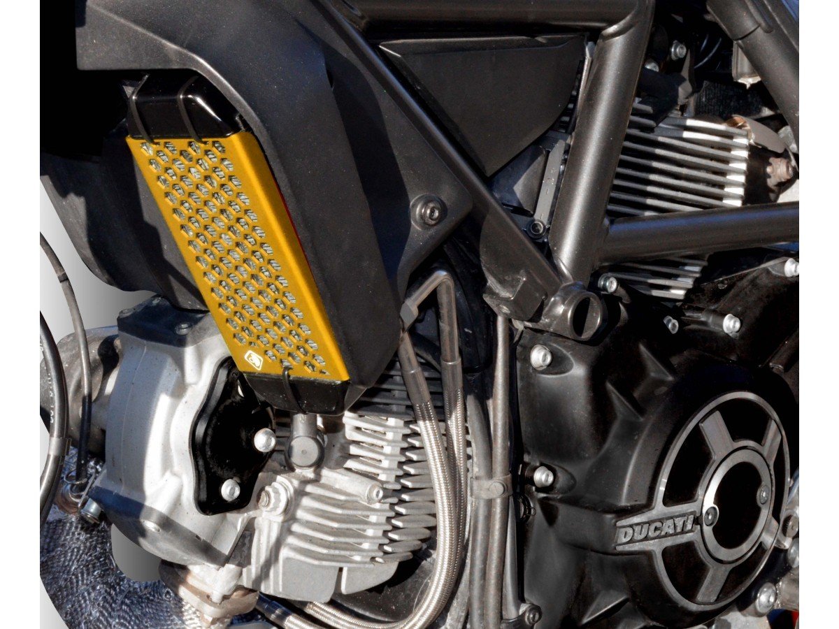 GR03 - DUCABIKE Ducati Scrambler 800 (15/22) Radiator Guard – Accessories in the Motoraider Motorcycle Aftermarket Accessories and Parts Online Shop