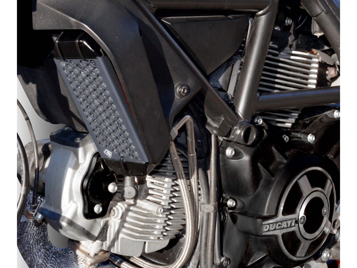 GR03 - DUCABIKE Ducati Scrambler 800 (15/22) Radiator Guard – Accessories in the Motoraider Motorcycle Aftermarket Accessories and Parts Online Shop