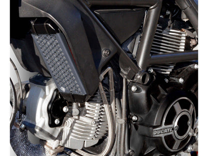 GR03 - DUCABIKE Ducati Scrambler 800 (15/22) Radiator Guard – Accessories in the Motoraider Motorcycle Aftermarket Accessories and Parts Online Shop